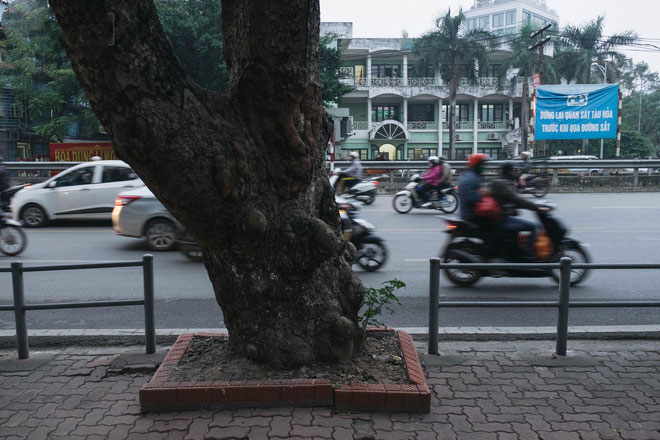 Hà Nội lắp barie ngăn xe máy tràn lên vỉa hè, giờ tan tầm nhiều phương tiện vẫn lao vun vút Hà Nội lắp barie ngăn xe máy tràn lên vỉa hè, giờ tan tầm nhiều phương tiện vẫn lao vun vút